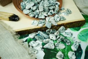 Tumbled Tree Agate for Grounding & Nature