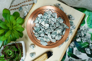 Tumbled Tree Agate for Grounding & Nature