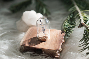 Mini Bell Dome Jar with Cork Base