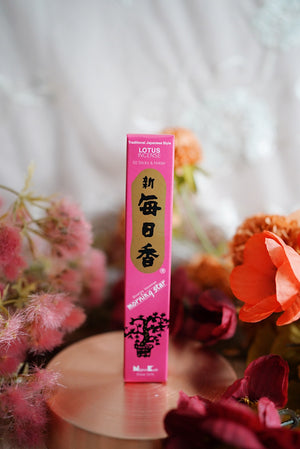 Morning Star Japanese Incense - Various Scents