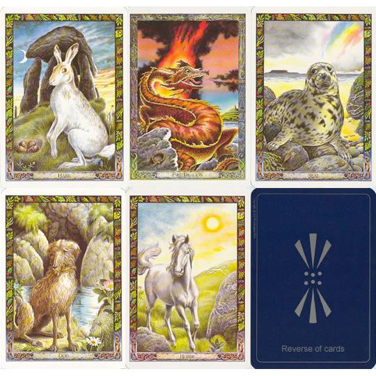 Druid Animal Oracle by Philip Carr-Gomm & Stephanie Carr-Gomm & Bill Worthington
