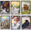 Druid Animal Oracle by Philip Carr-Gomm & Stephanie Carr-Gomm & Bill Worthington
