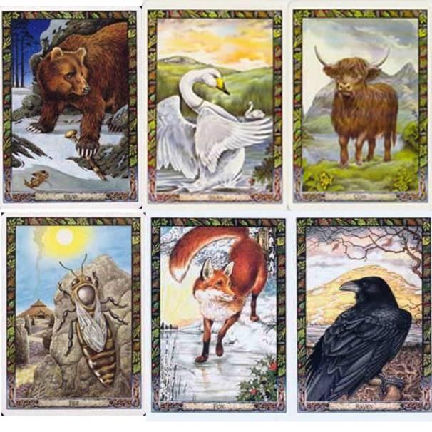 Druid Animal Oracle by Philip Carr-Gomm & Stephanie Carr-Gomm & Bill Worthington