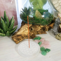 Flower of Life Etched Selenite Charging Plates