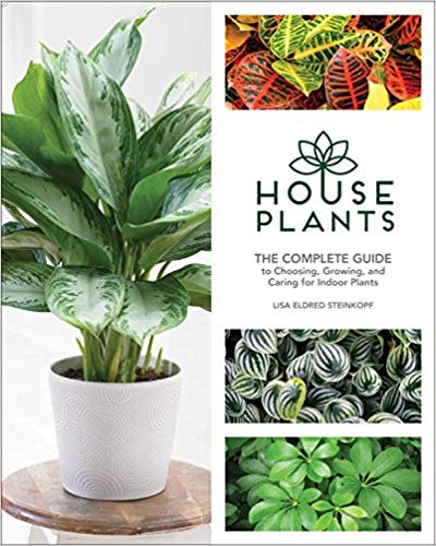 House Plants by Lisa Eldred Steinkopf