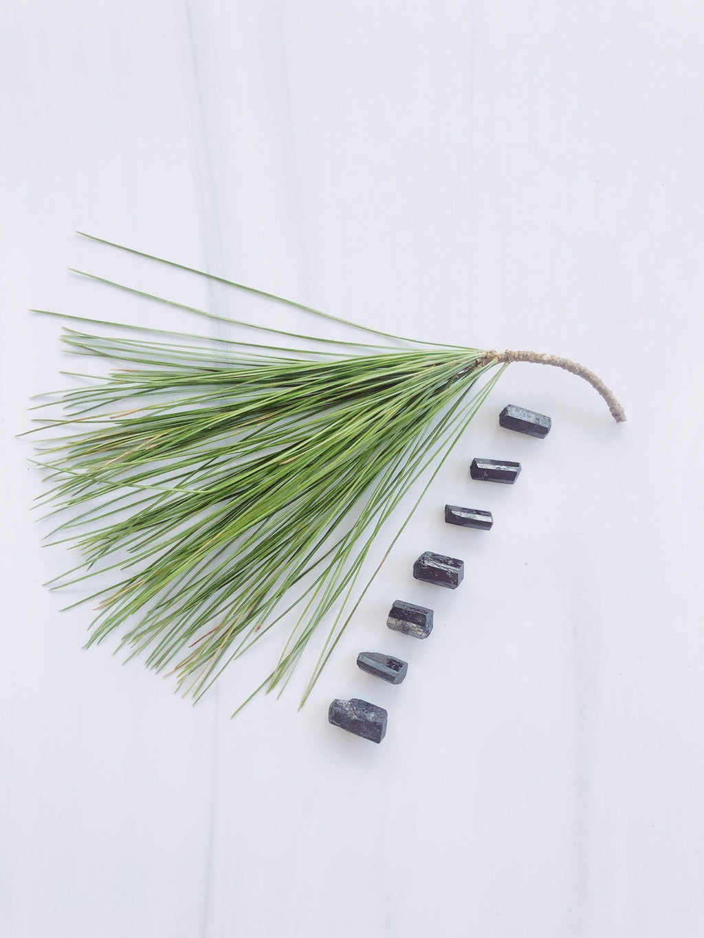 Mini Black Tourmaline Crystals for Knowledge & Connection