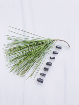 Mini Black Tourmaline Crystals for Knowledge & Connection