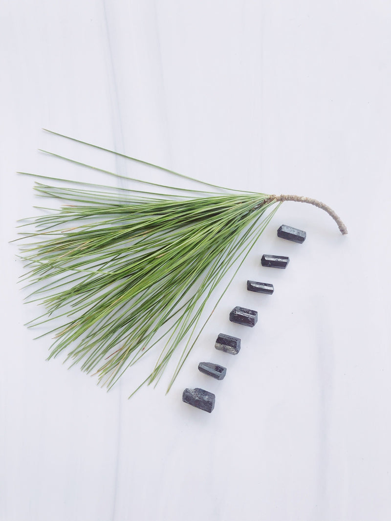 Mini Black Tourmaline Crystals for Knowledge & Connection