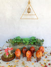 Carnelian Eggs for Creativity & Energy