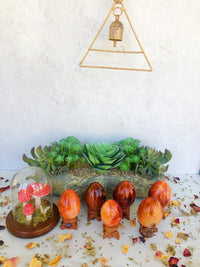 Carnelian Eggs for Creativity & Energy