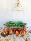 Carnelian Eggs for Creativity & Energy