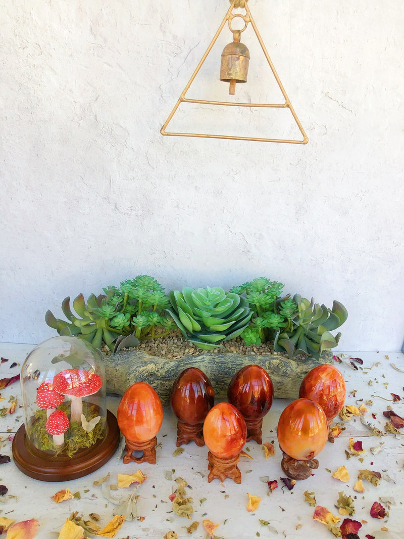 Carnelian Eggs for Creativity & Energy