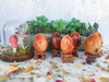 Carnelian Eggs for Creativity & Energy