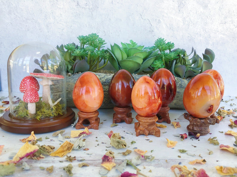 Carnelian Eggs for Creativity & Energy