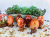 Carnelian Eggs for Creativity & Energy