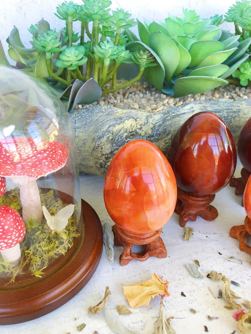 Carnelian Eggs for Creativity & Energy