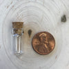 Mini Glass Jar with Cork Stopper - Various Sizes