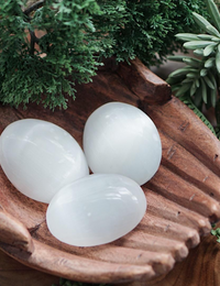 Selenite Palm Stones for Cleansing & Purification