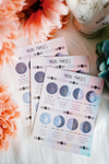 Astrological Grimoire by Shewolfe & Beatrix Gravesguard