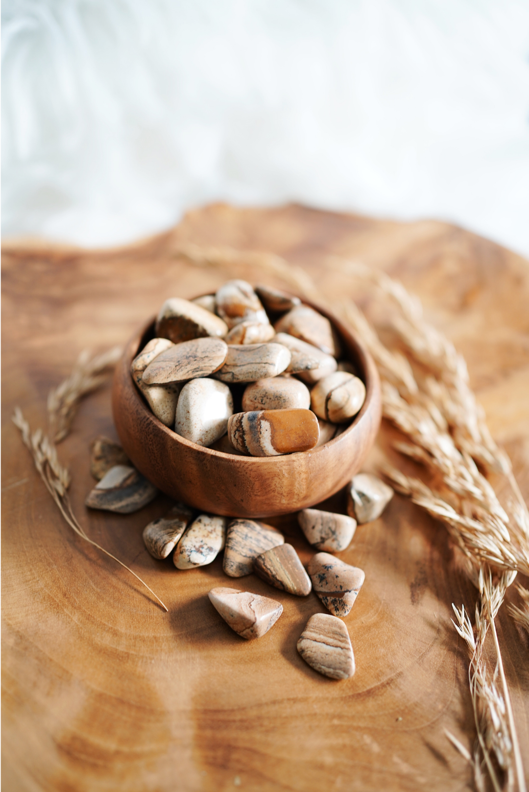 Tumbled Picture Jasper for Inspiration & Creativity