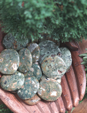 Moss Agate Palm Stones for Connecting to Nature