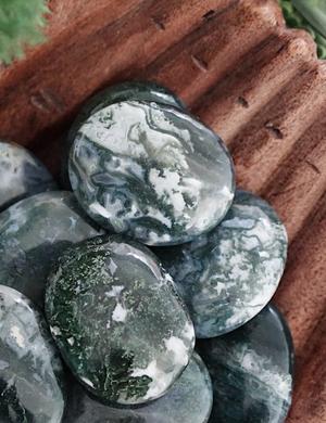 Moss Agate Palm Stones for Connecting to Nature