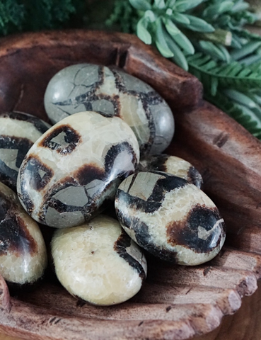 Rainforest Jasper Mini Palm Stones for Love & Earth Connection