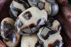 Septarian Palm Stones for Calming & Tranquility