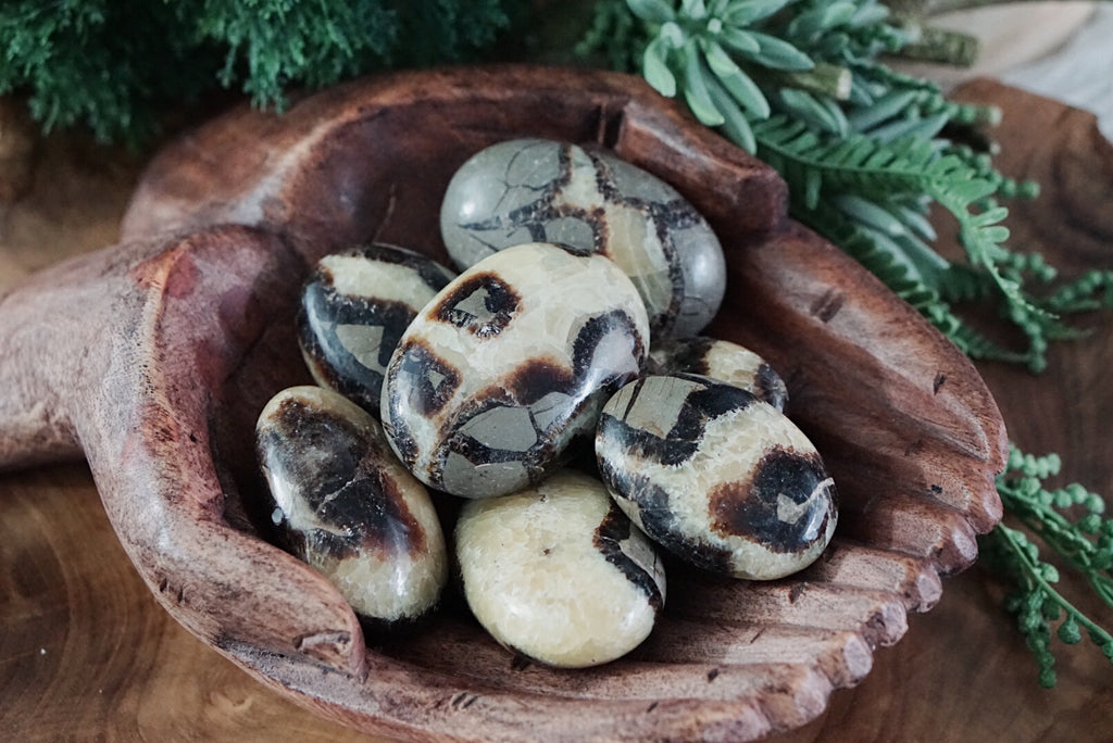 Septarian Palm Stones for Calming & Tranquility