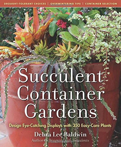 Succulent Container Gardens by Debra Baldwin