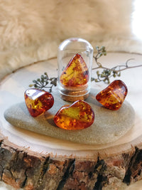 Tumbled Baltic Amber for Joy & Healing