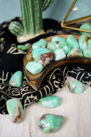 Tumbled Chrysoprase for Compassion & Self-Reliance