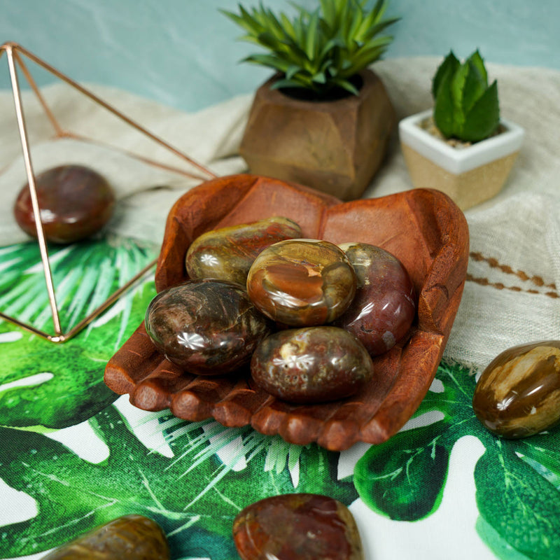 Petrified Wood Palm Stones for Grounding & Ancestor Connection