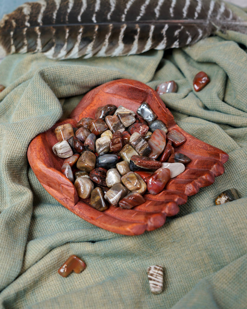 Tumbled Petrified Wood for Grounding & Ancestor Connection