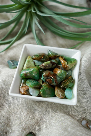 Tumbled Chrysoprase for Compassion & Self-Reliance