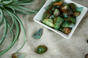 Tumbled Chrysoprase for Compassion & Self-Reliance