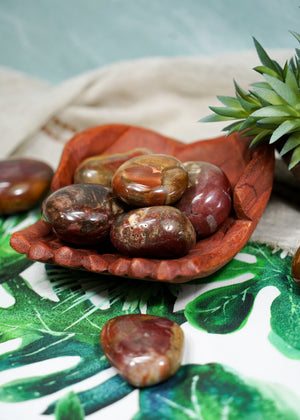 Petrified Wood Palm Stones for Grounding & Ancestor Connection