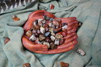 Tumbled Petrified Wood for Grounding & Ancestor Connection