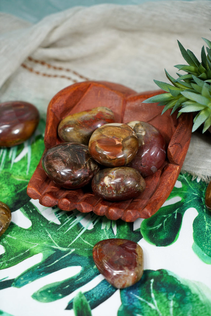 Petrified Wood Palm Stones for Grounding & Ancestor Connection