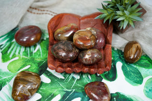 Petrified Wood Palm Stones for Grounding & Ancestor Connection