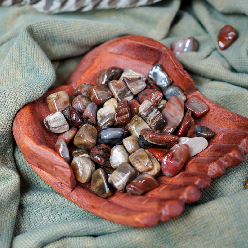 Tumbled Petrified Wood for Grounding & Ancestor Connection