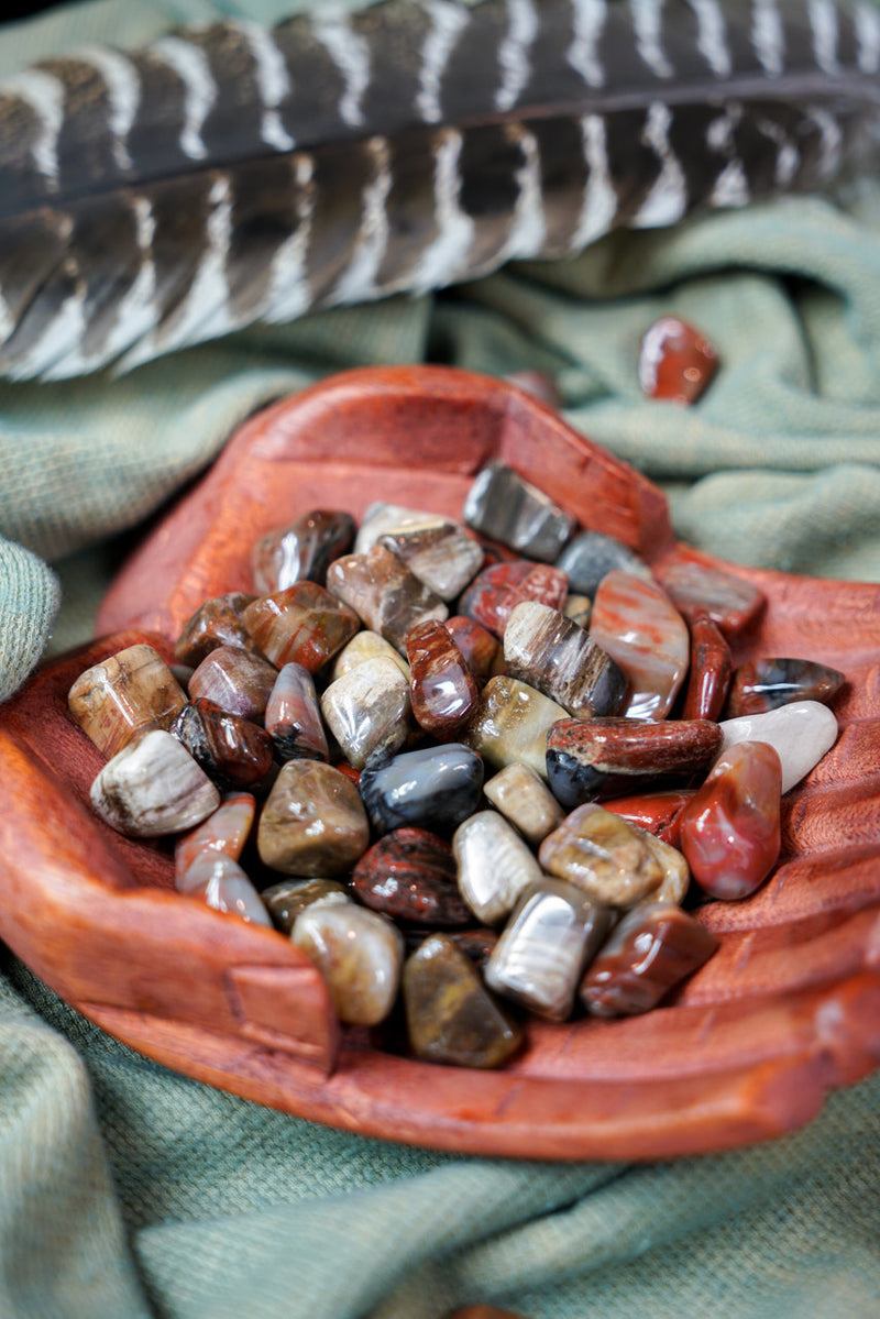 Tumbled Petrified Wood for Grounding & Ancestor Connection