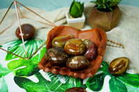 Petrified Wood Palm Stones for Grounding & Ancestor Connection