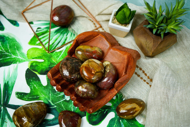 Petrified Wood Palm Stones for Grounding & Ancestor Connection