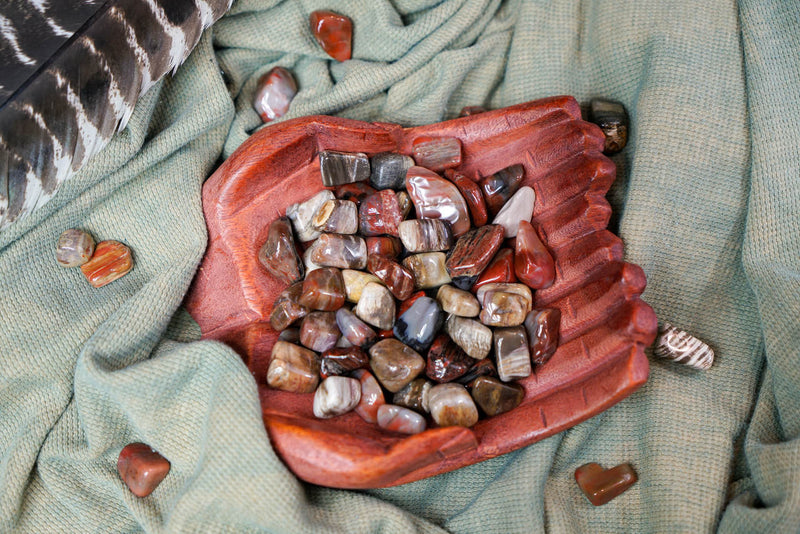 Tumbled Petrified Wood for Grounding & Ancestor Connection