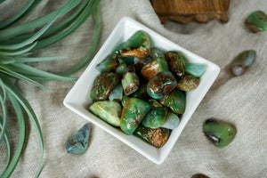 Tumbled Chrysoprase for Compassion & Self-Reliance