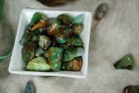 Tumbled Chrysoprase for Compassion & Self-Reliance