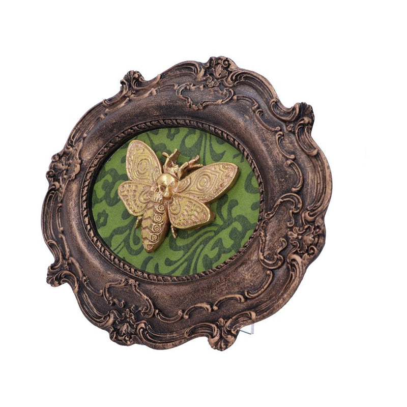 Baroque Framed Death's Head Moth Wall Plaque - Various Styles
