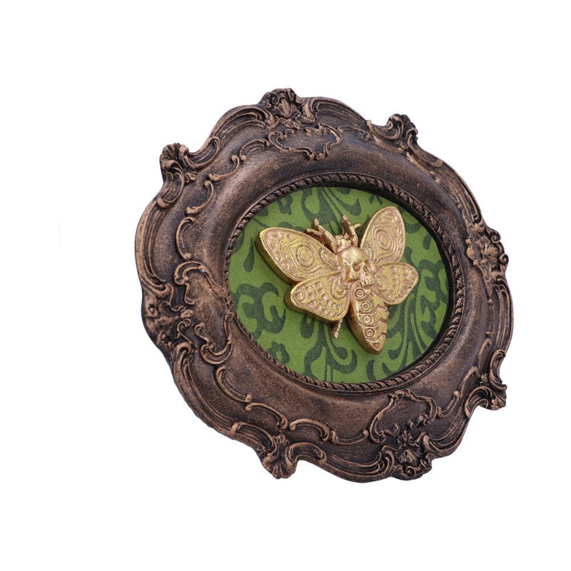 Baroque Framed Death's Head Moth Wall Plaque - Various Styles