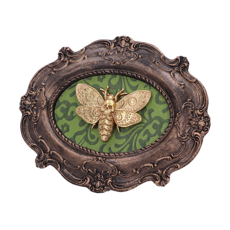 Baroque Framed Death's Head Moth Wall Plaque - Various Styles